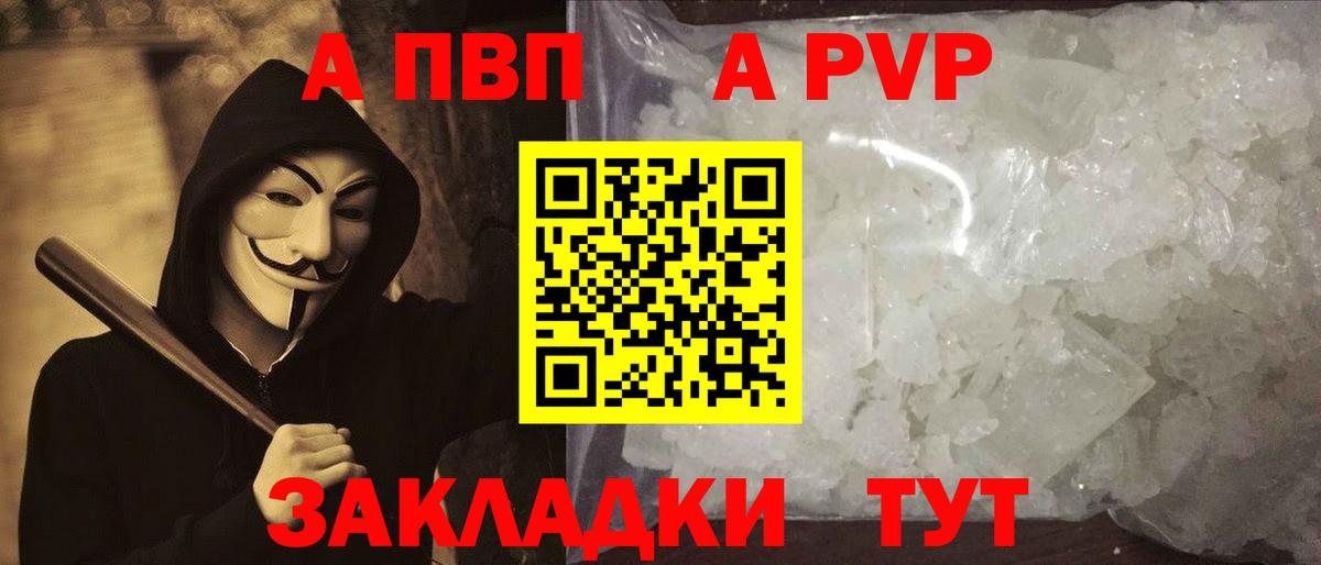 Альфа ПВП СК Гатчина