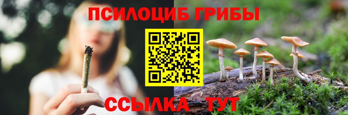 Галлюциногенные грибы GOLDEN TEACHER  Вход с VPN  Гатчина  Галлюциногенные грибы MAGIC MUSHROOMS 