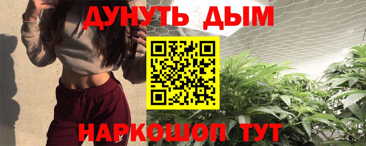 Бошки Шишки Amnesia Гатчина